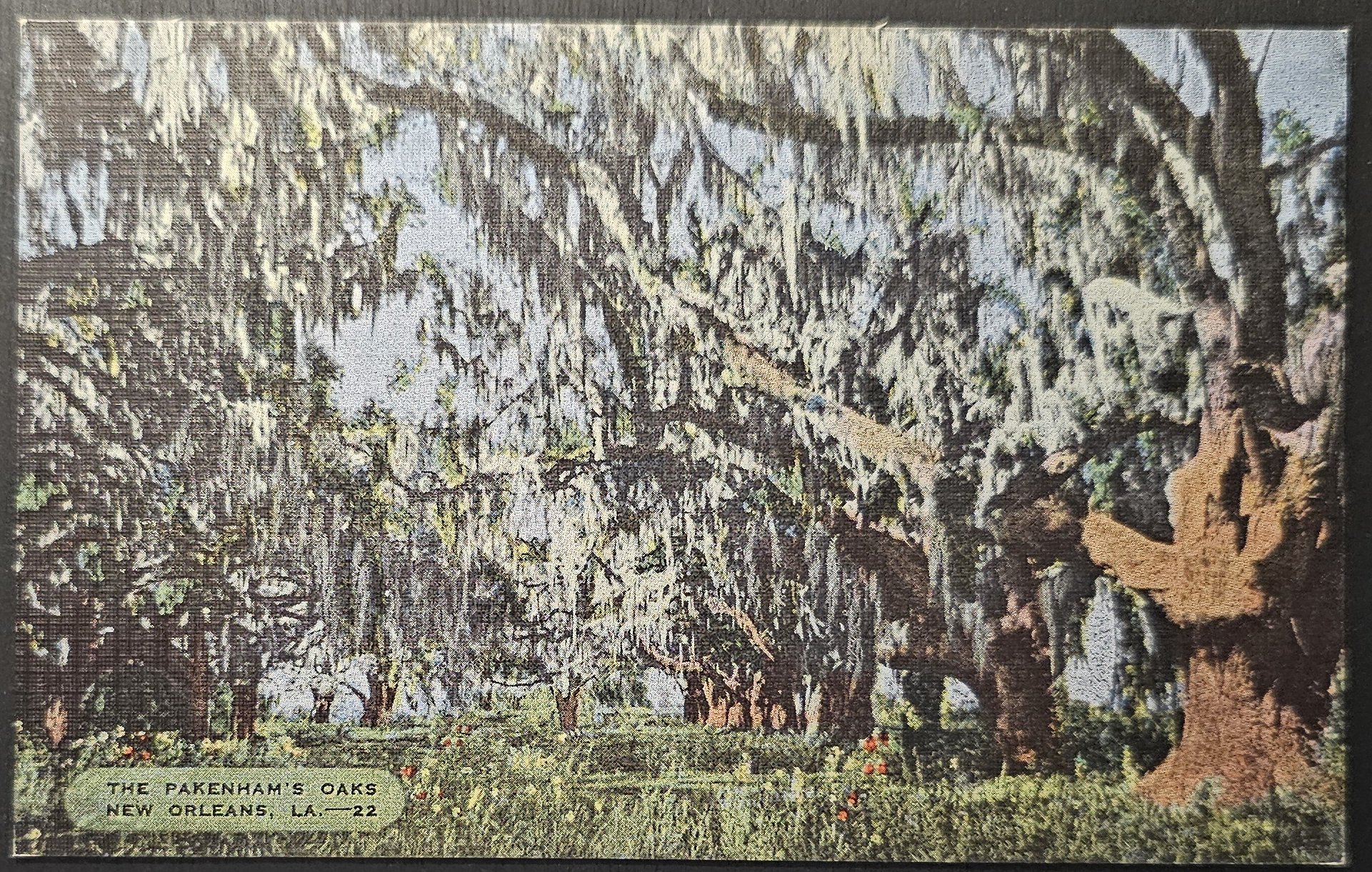 (image for) postcard USA - LA - Louisiana #0009